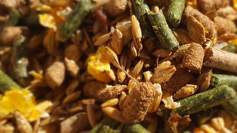 Mix Feed Company | Dubai