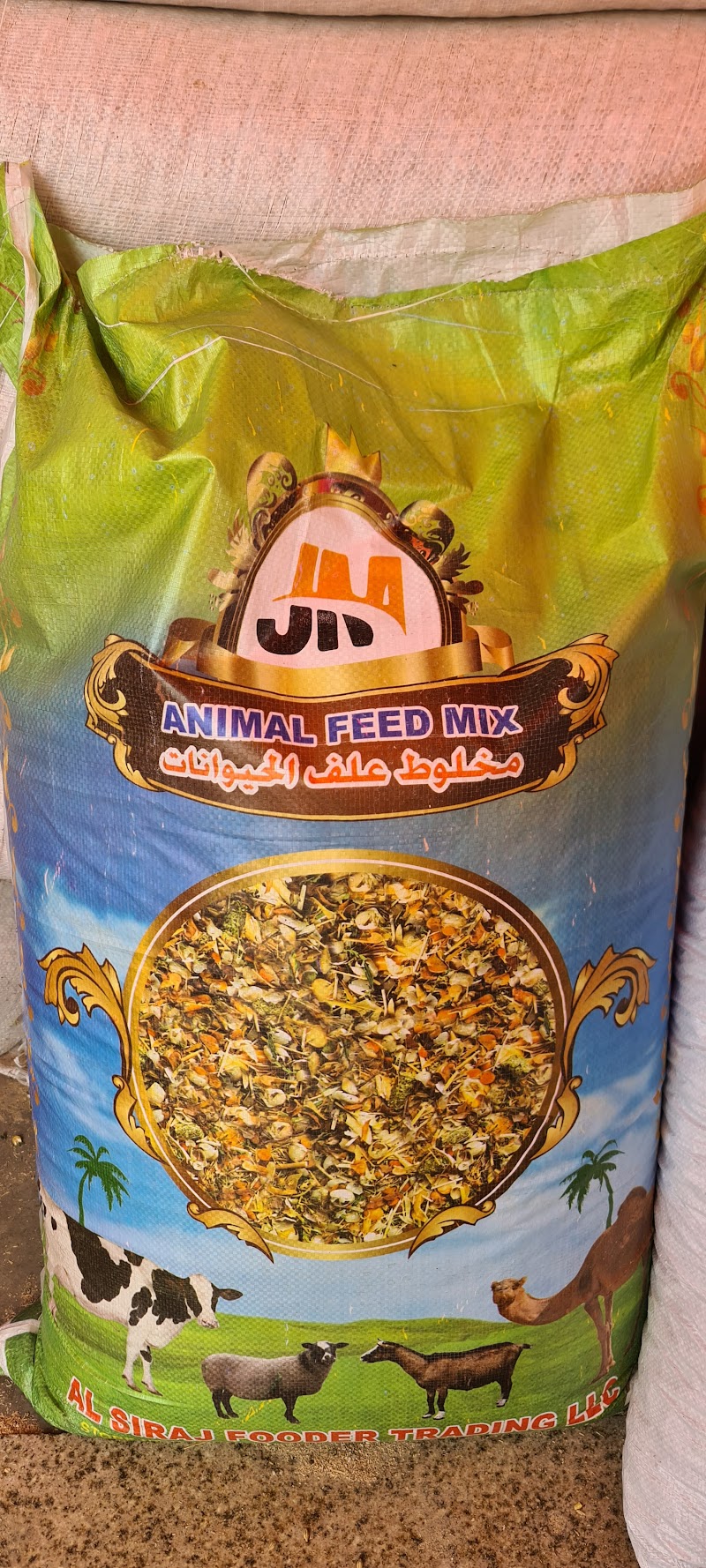 تصویر شماره 5