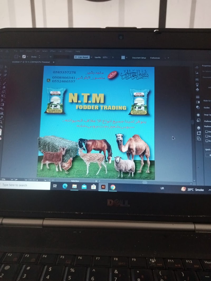 NTM TRADING FODDER | Dubai
