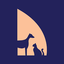 Modern Vet Clinic | Dubai