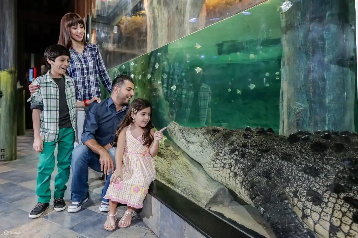 Underwater aquarium and zoo facilities